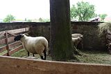 wald_jagdtag_25_06_2023 (295)